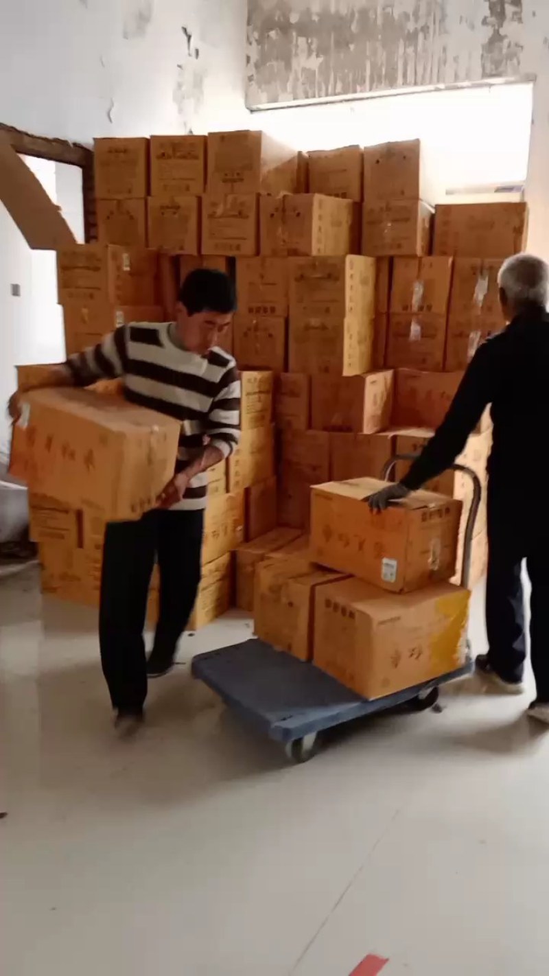 去核灰枣无核枣厂家现货直供优质货源品质好