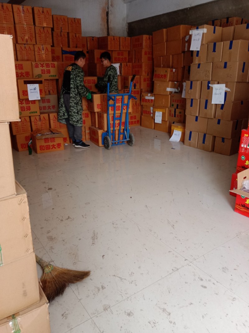 去核灰枣无核枣厂家现货直供优质货源品质好