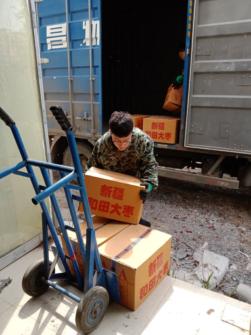 去核灰枣无核枣厂家现货直供优质货源品质好