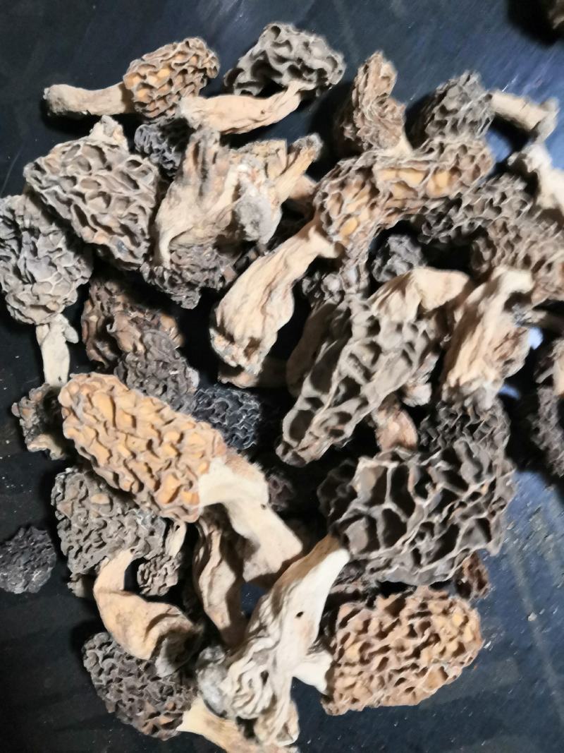 纯野生羊肚菌干货一手货源，质量保证，货真价实。