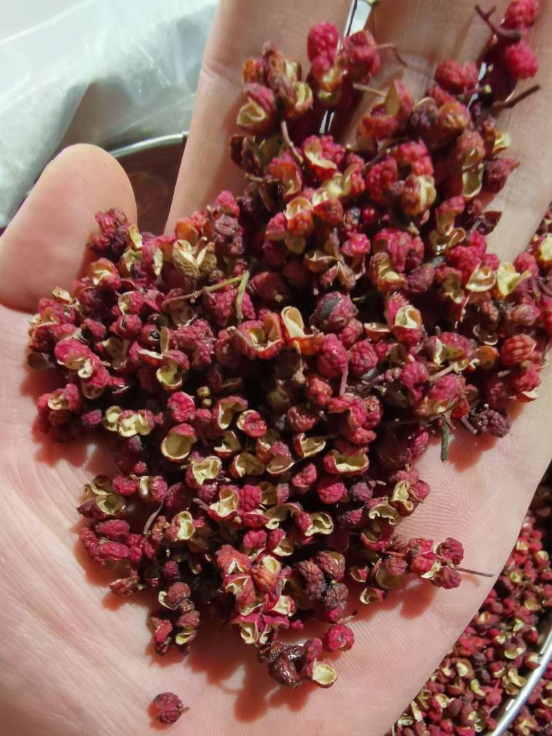 特级陕西大红袍花椒特红韩城四川干花椒味好不掺
