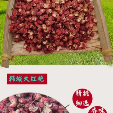 特级陕西大红袍花椒特红韩城四川干花椒味好不掺