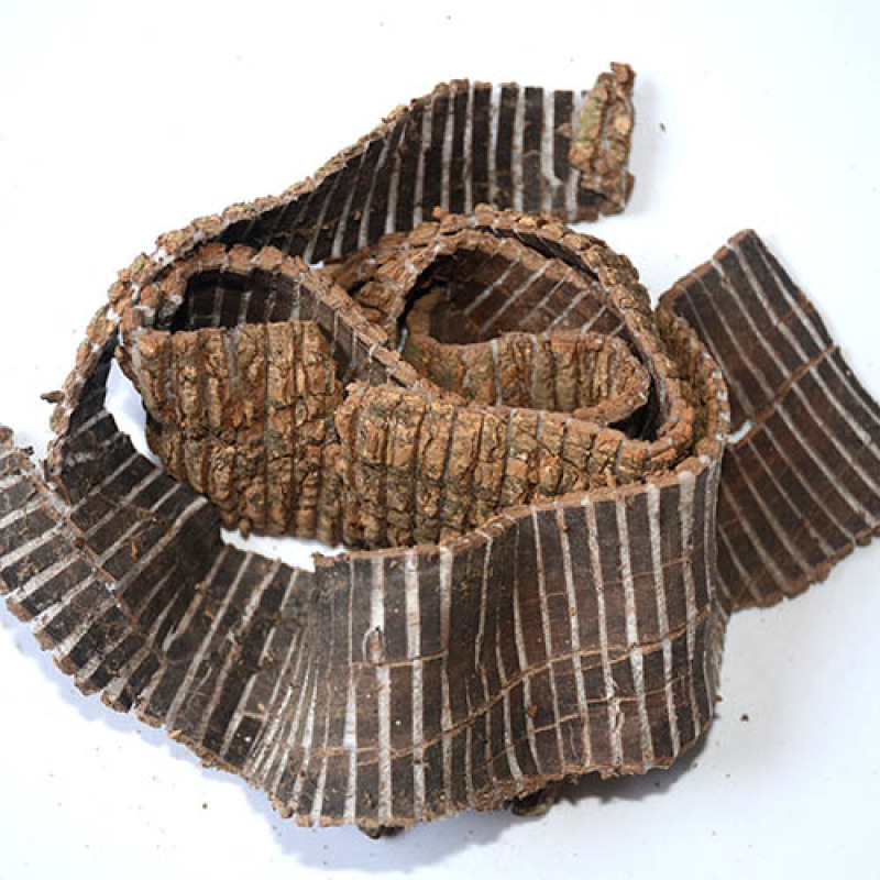 野生杜仲皮中药材批发老树精选正品特级杜仲雄花泡水泡酒煲汤