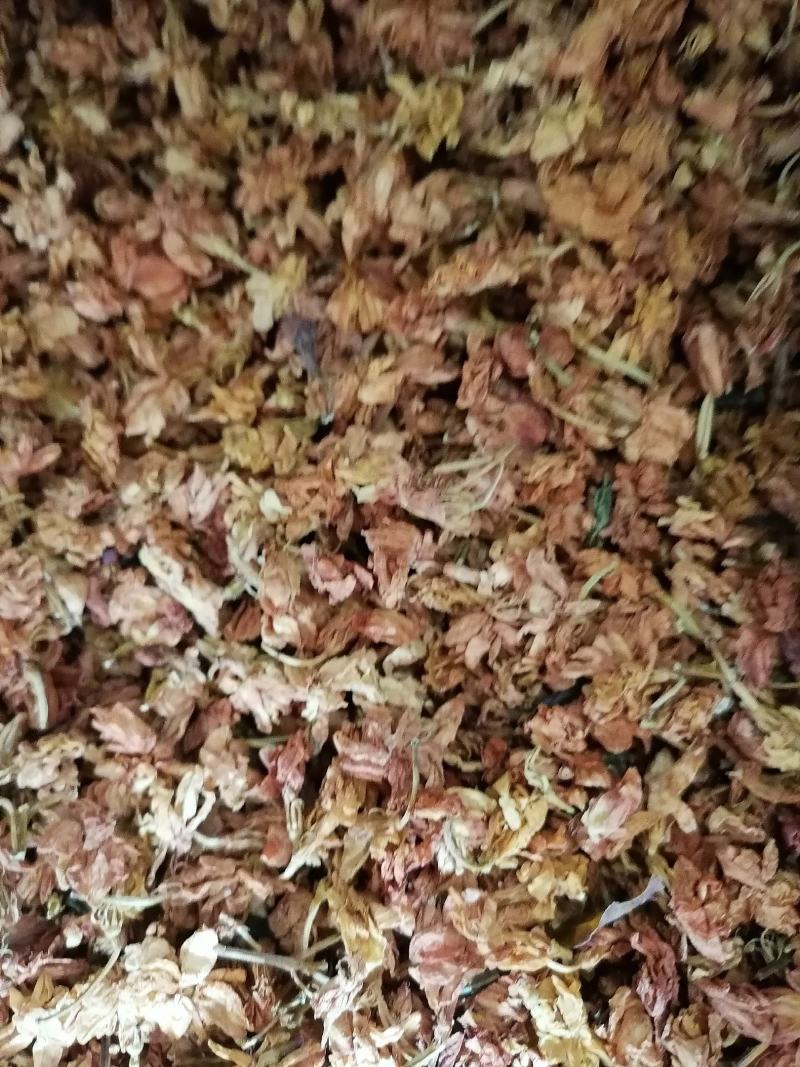 茉莉花，三合一花茶，干净无杂质，专业批发