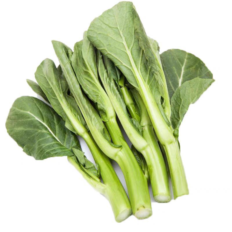 广东甜菜心种子粗菜心种子四季菜心种子甜菜苔种子