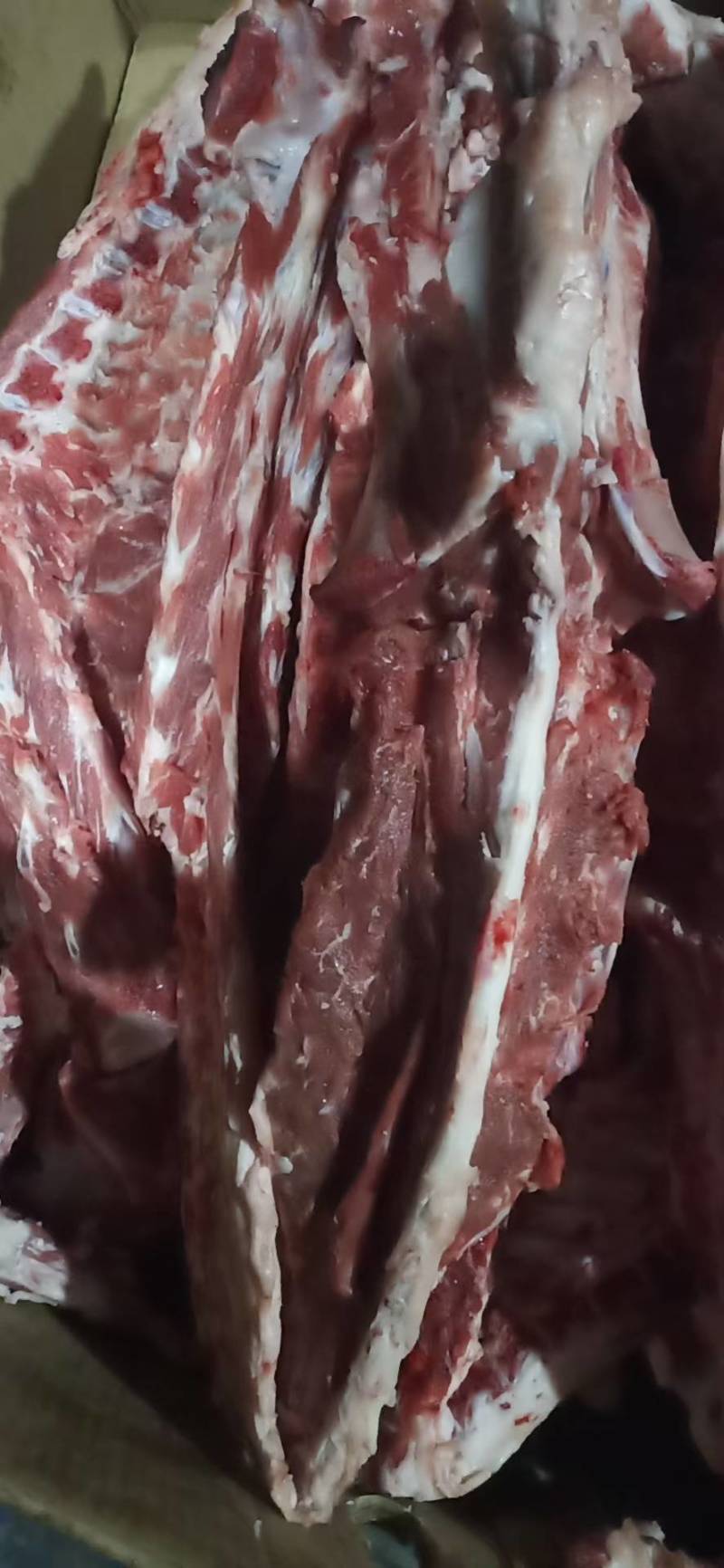 羊蝎子