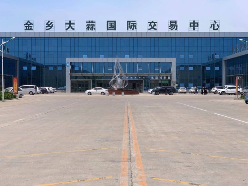 中国大蒜看金乡大蒜之乡