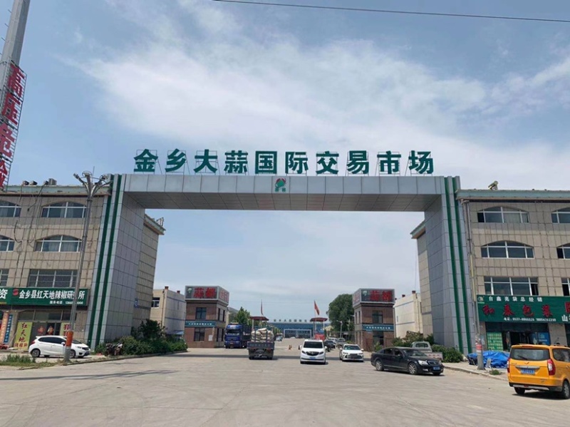 中国大蒜看金乡大蒜之乡