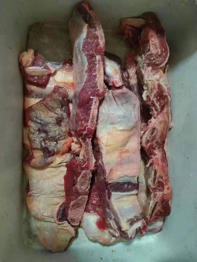 牛胸骨