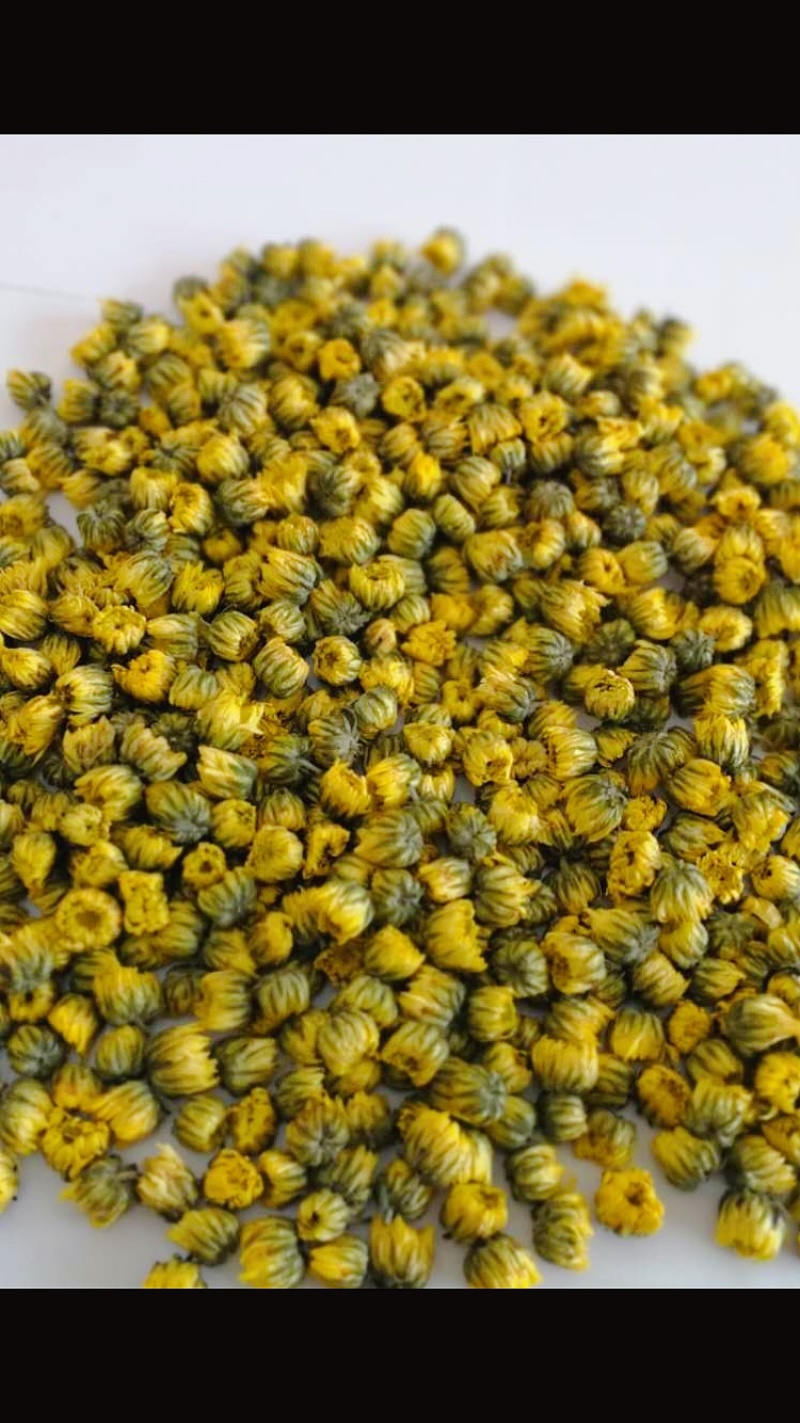 【产地直供】北京胎菊王胎菊米散装批发菊花茶花草茶