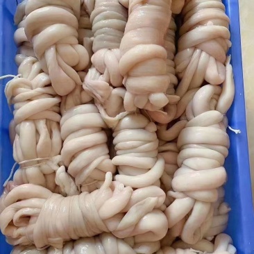 羊肚