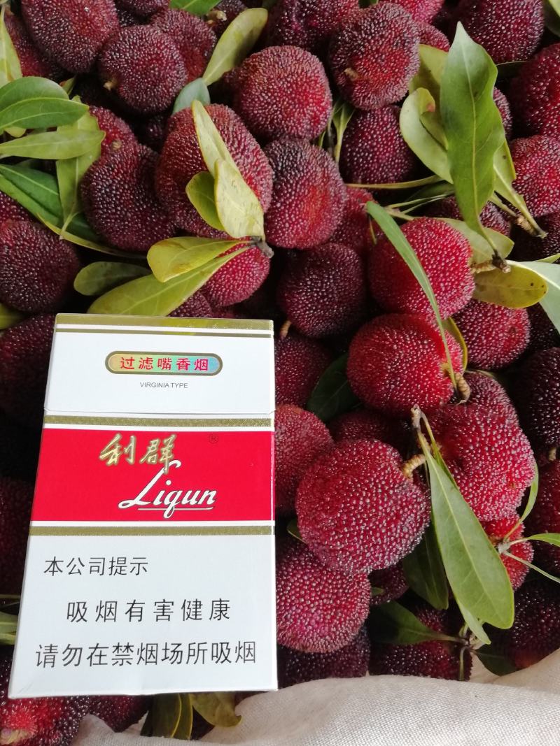 顺丰包邮农家产地直销新鲜大粒乌杨梅肉厚汁多
