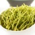 四季金银花阳台庭院爬藤植物