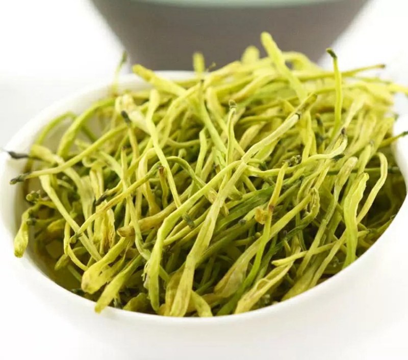 四季金银花阳台庭院爬藤植物