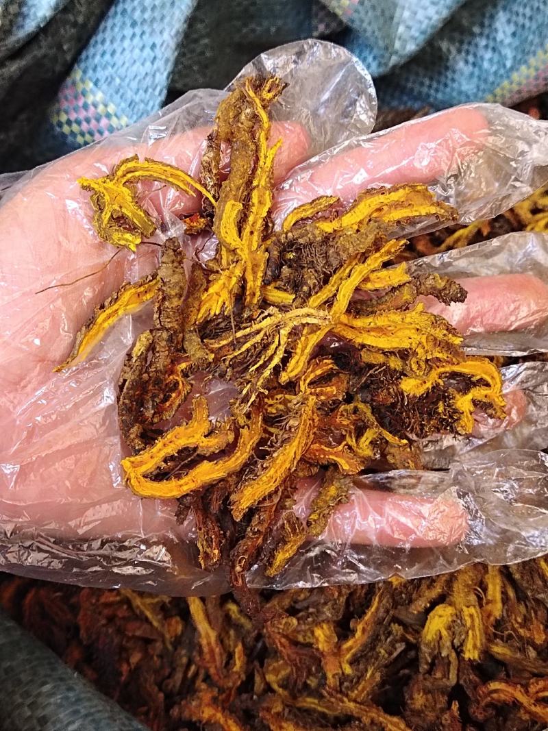 中药材黄连黄莲川黄连鸡爪连100g
