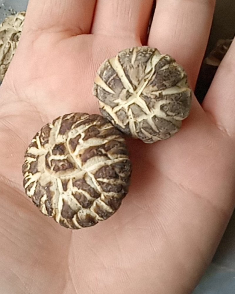 2025年新货茶花菇香菇干货花菇干货