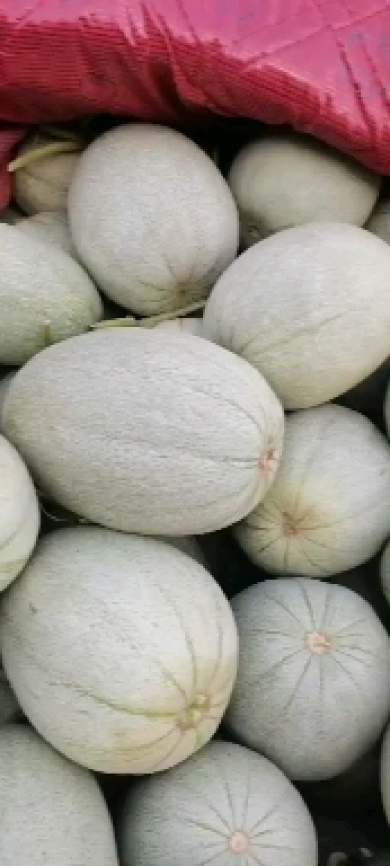 再次降价