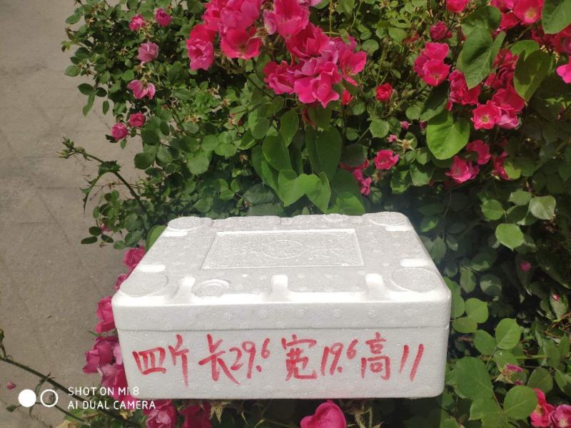 樱桃泡沫箱电商泡沫箱