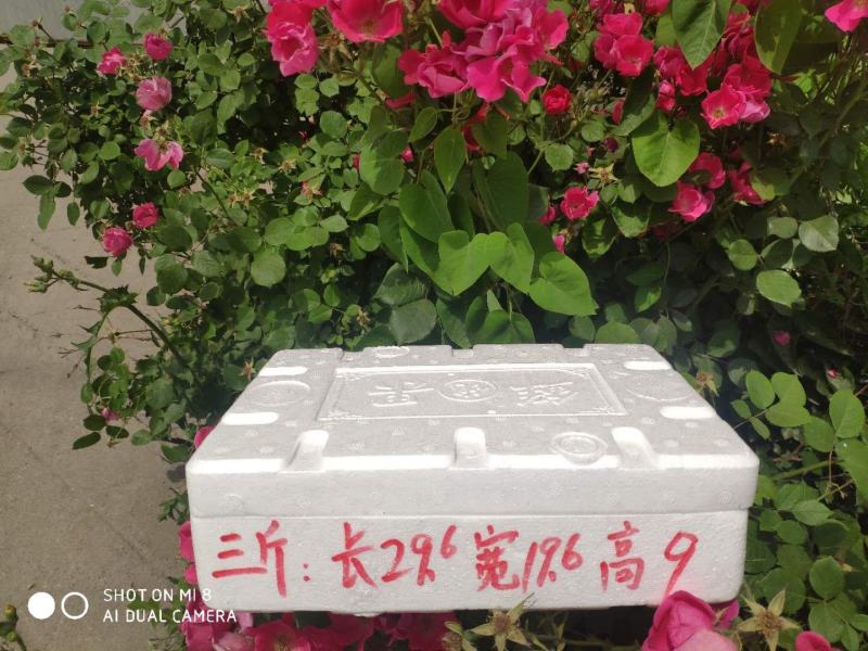 樱桃泡沫箱电商泡沫箱