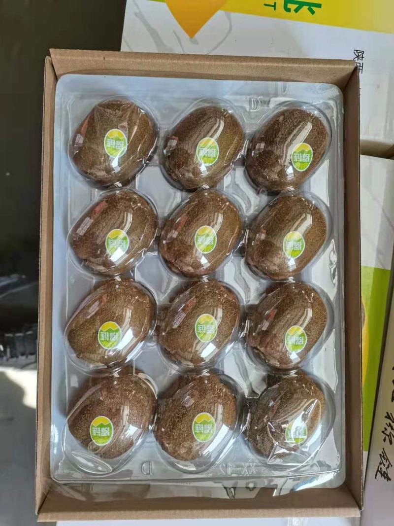 水果车出口运输