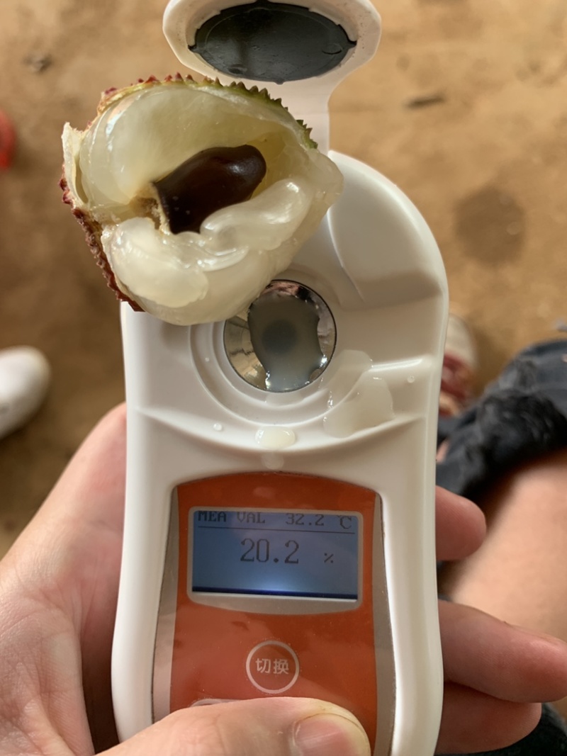果园直供现采现摘大量出货品种众多有需要的老板可以直接联系