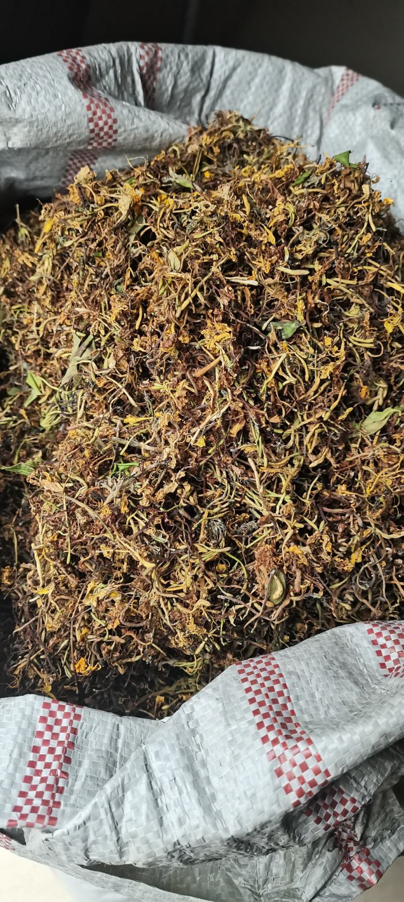 自然晒干无硫野生家种金银花