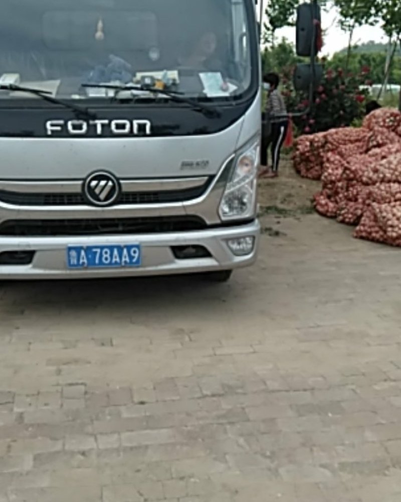 河南周口。精品扒皮蒜产地直供。有需要的老板请提前下单。
