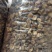 【推】香菇小菇冬菇肉厚质量好供货量充足欢迎咨询