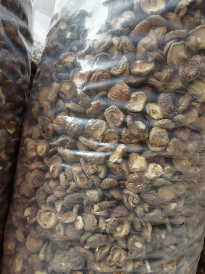 【推】香菇小菇冬菇肉厚质量好供货量充足欢迎咨询