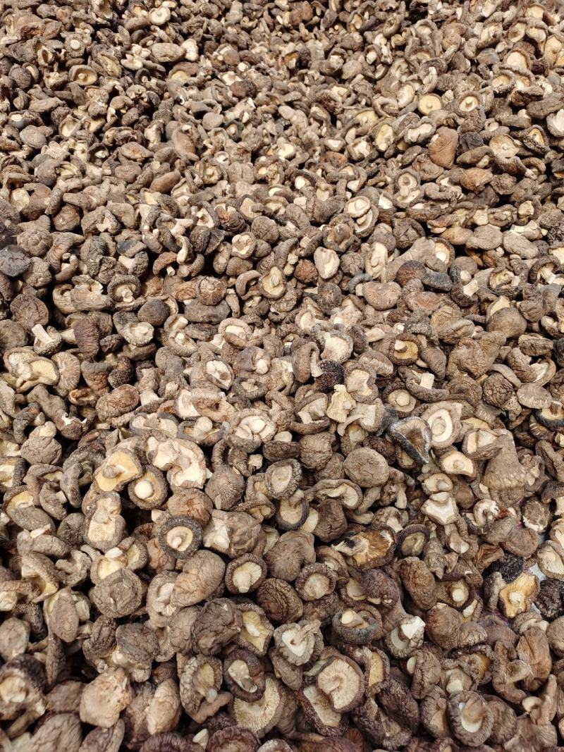 【推】香菇小菇冬菇肉厚质量好供货量充足欢迎咨询