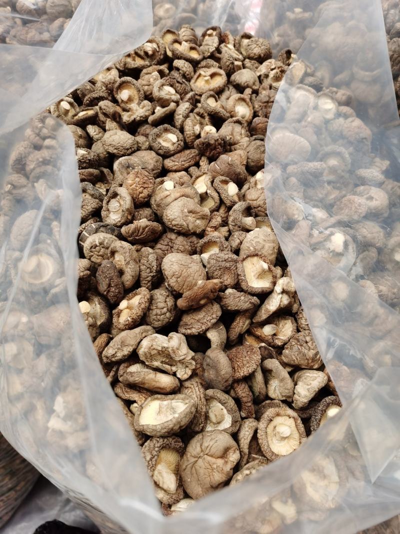 【干香菇】特级小香菇产地直供一手货源量大从优对接批发市