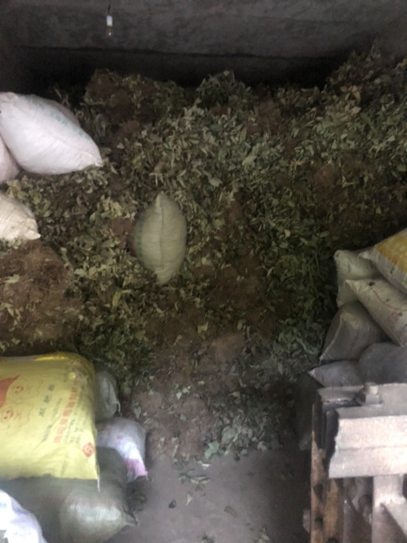 淫羊霍野生2022大量上新，欢迎大家选购！量很大