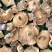 香菇干货香菇大片干香菇薄香菇蘑菇食堂饭店商用500g