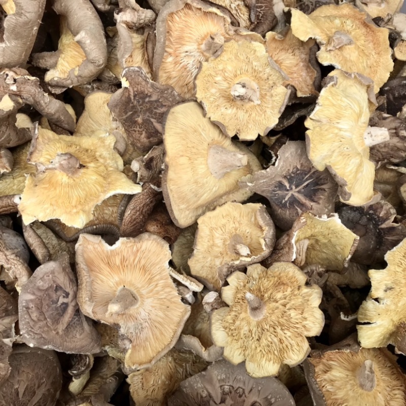 香菇干货香菇大片干香菇薄香菇蘑菇食堂饭店商用500g