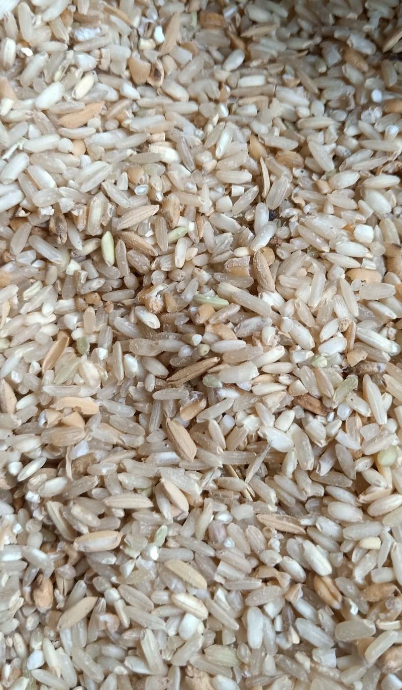 饲料稻谷，糙米，糙米粉碎，稻谷粉碎，饲料厂及大众养殖专用