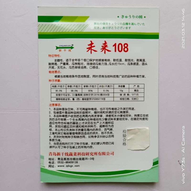 未来103水果黄瓜种子103，108品种种子