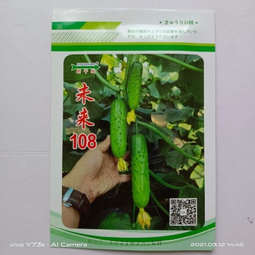 未来103水果黄瓜种子103，108品种种子