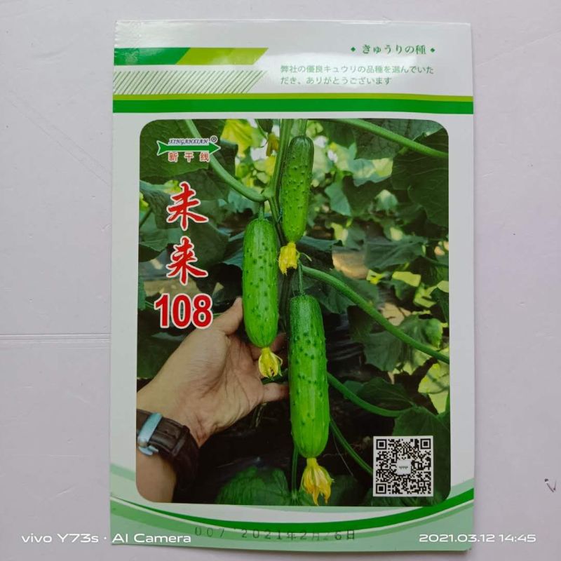 未来103水果黄瓜种子103，108品种种子