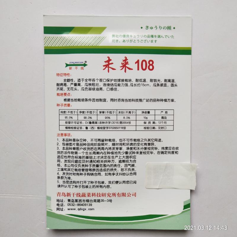 未来103水果黄瓜种子103，108品种种子
