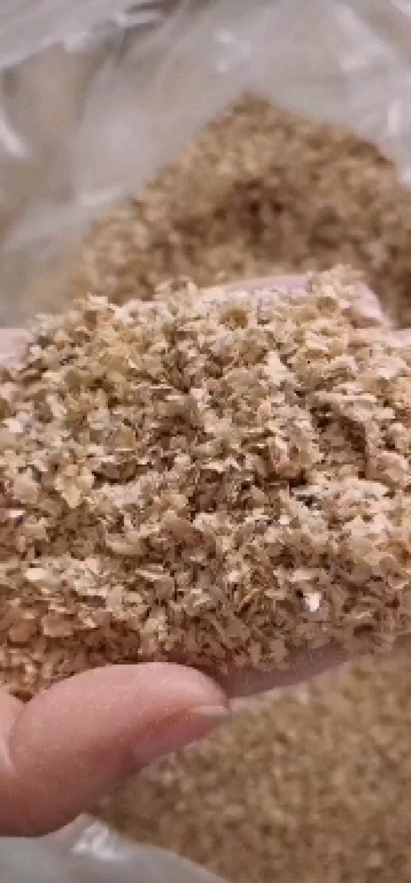 麸皮现货供应麸皮现货供应麸皮