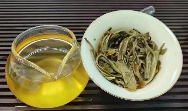 古树普洱生茶