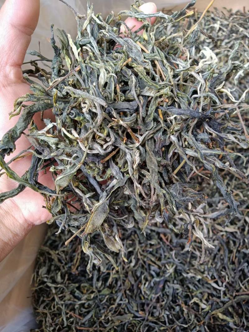 古树普洱生茶