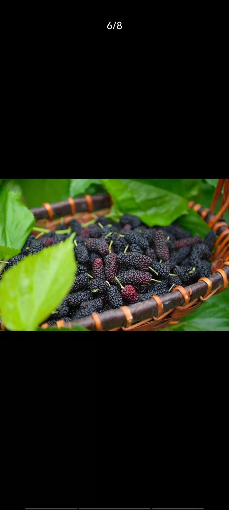 桑椹，黑珍珠。可以食用，药材。做酒。