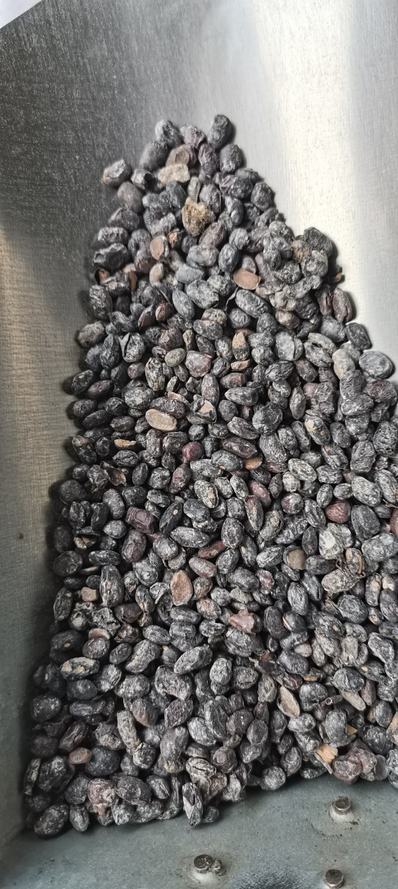 淡豆豉药用淡豆豉干豆豉无硫中药材
