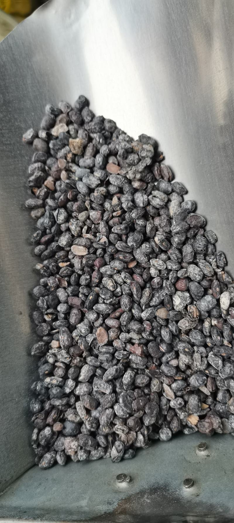 淡豆豉药用淡豆豉干豆豉无硫中药材