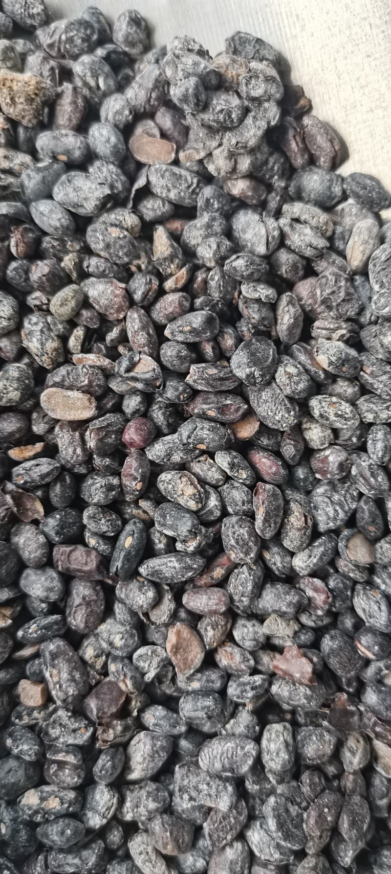 淡豆豉药用淡豆豉干豆豉无硫中药材