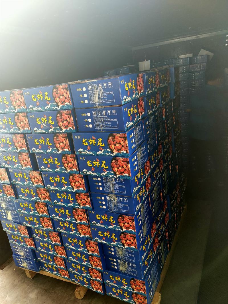 御颢五斤装龙虾尾一手货源质量保证量大从优