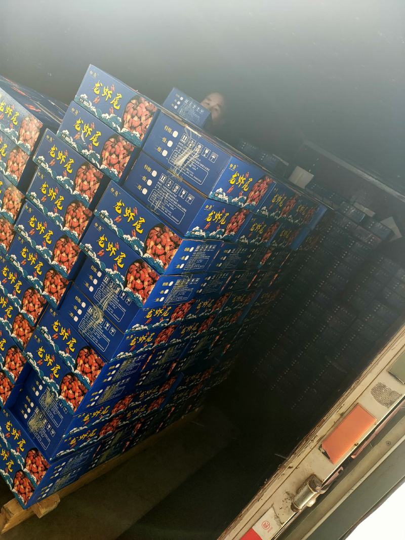 御颢五斤装龙虾尾一手货源质量保证量大从优