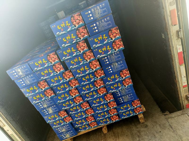 御颢五斤装龙虾尾一手货源质量保证量大从优
