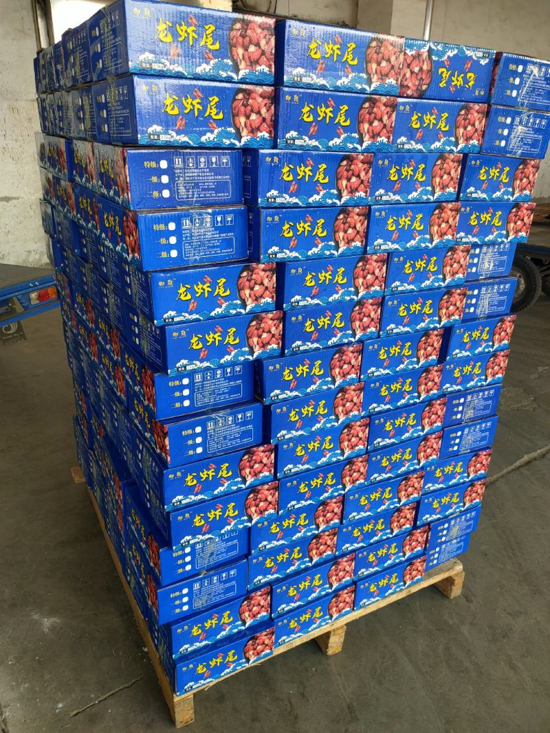 御颢五斤装龙虾尾一手货源质量保证量大从优